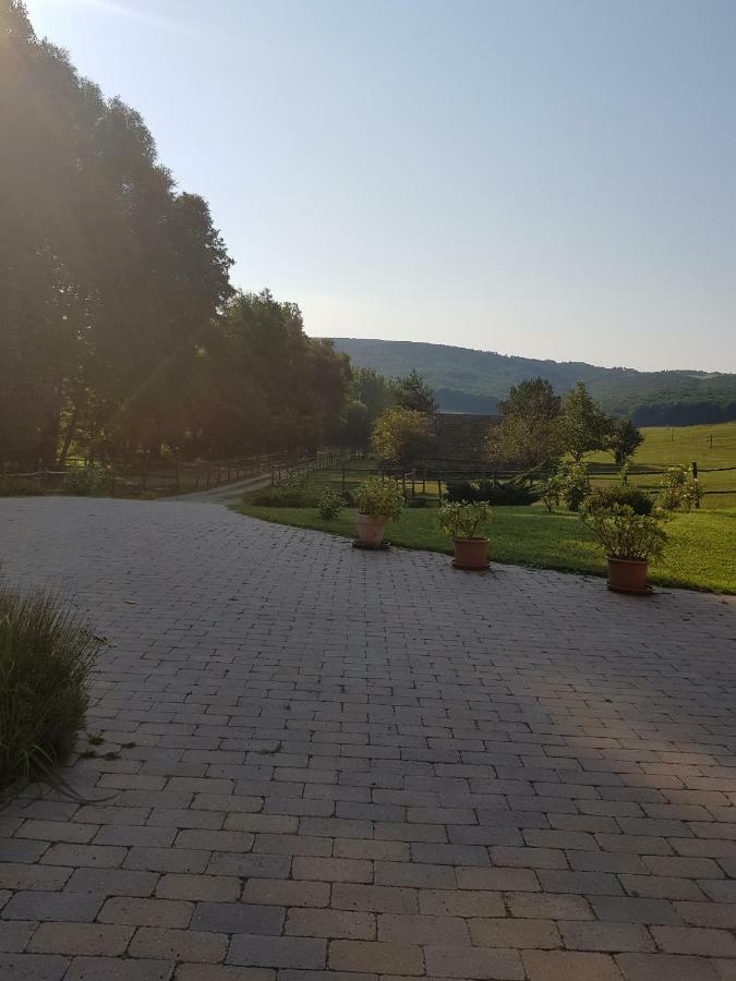 Bársonyberek vendégház Bakony Jásd Extérieur photo