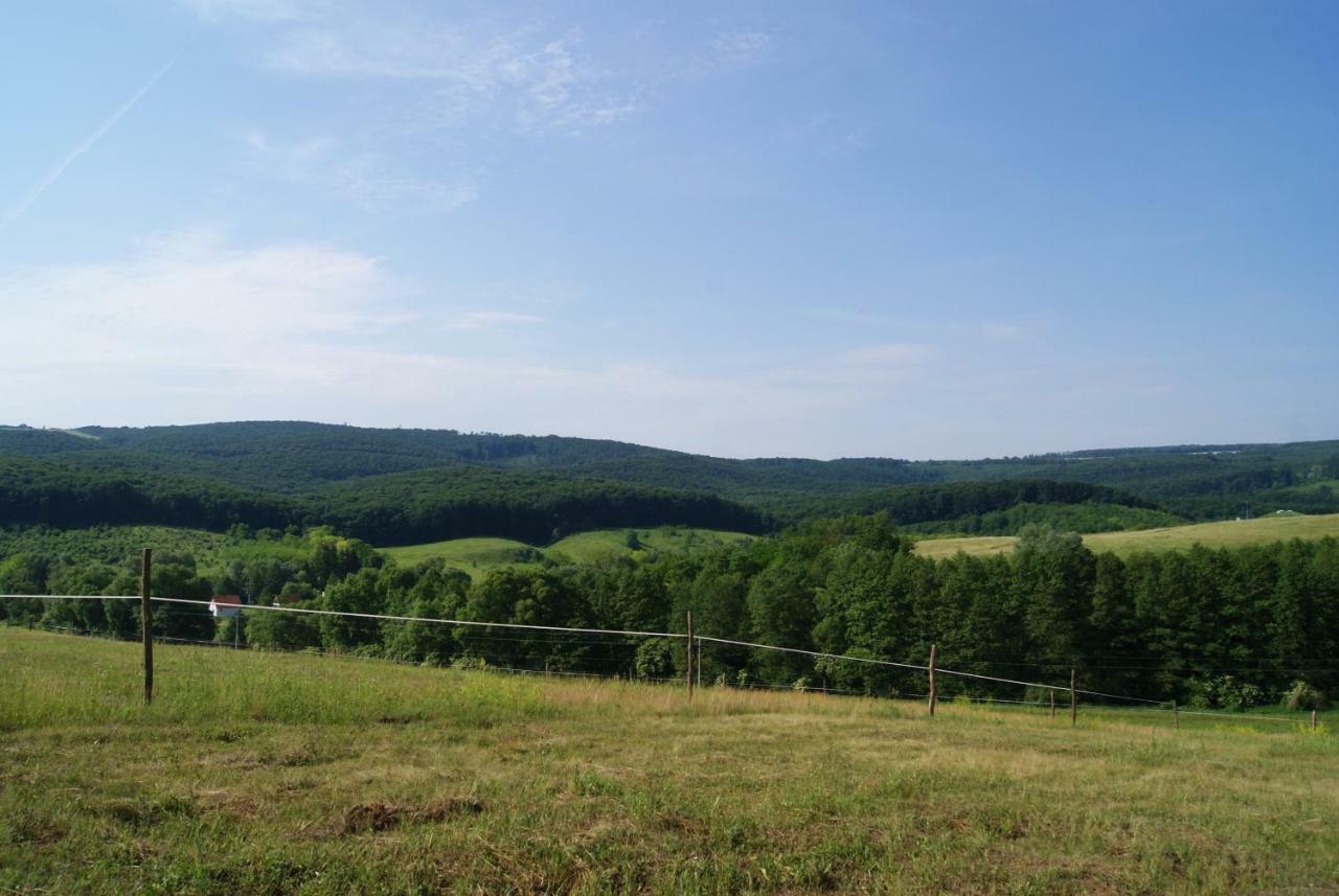 Bársonyberek vendégház Bakony Jásd Extérieur photo