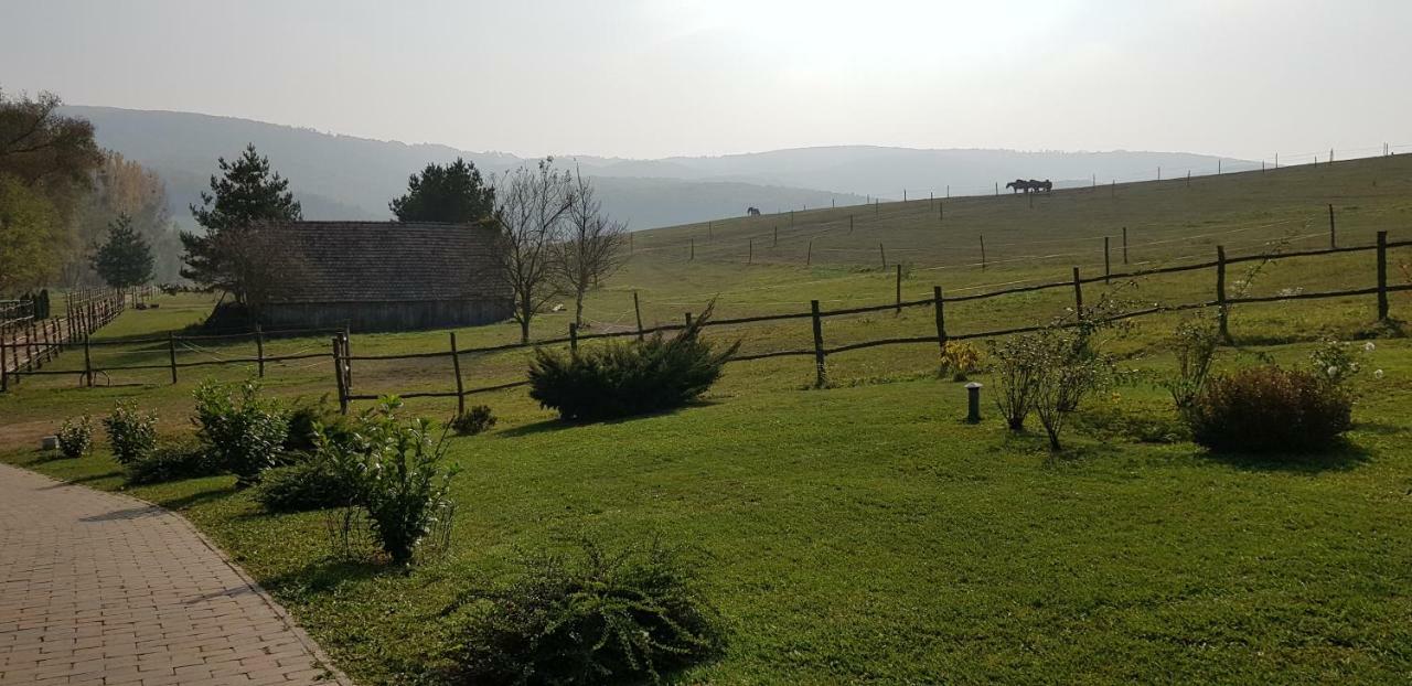 Bársonyberek vendégház Bakony Jásd Extérieur photo