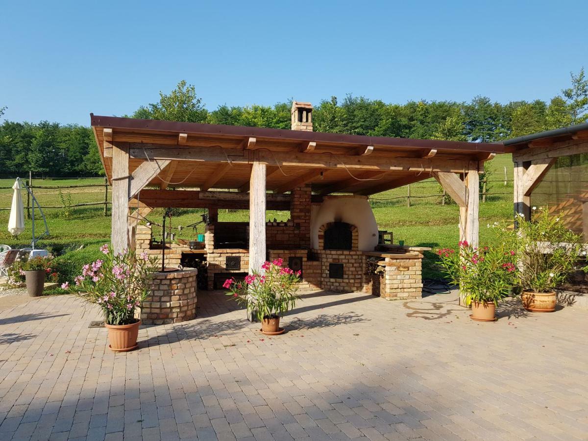 Bársonyberek vendégház Bakony Jásd Extérieur photo